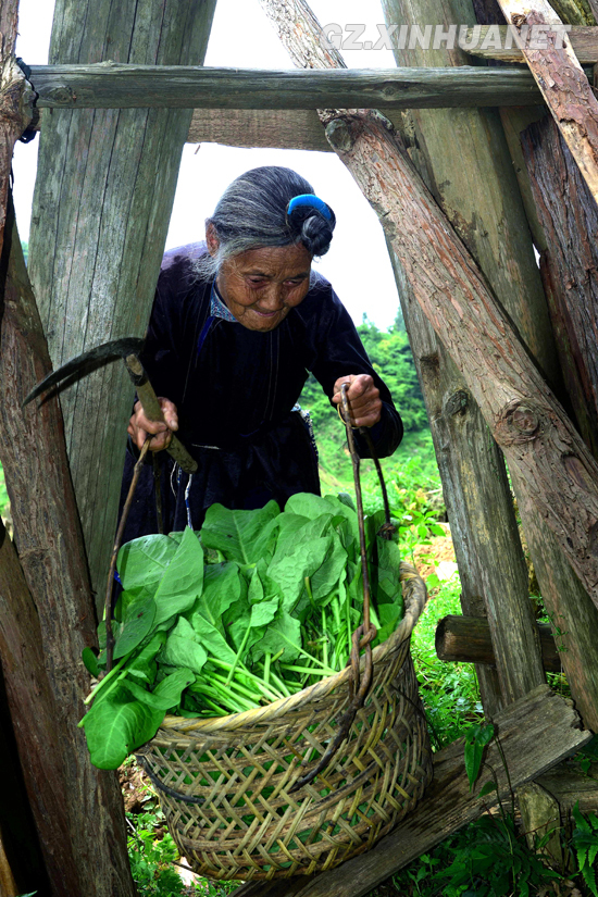 5月9日,贾奶义老太太准备越过菜园门.谌鸿溪 摄