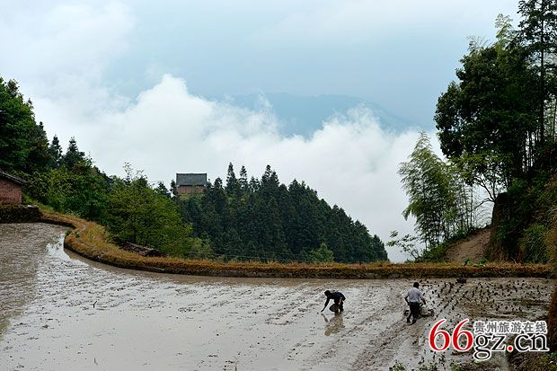 美德村人口_中华传统美德手抄报