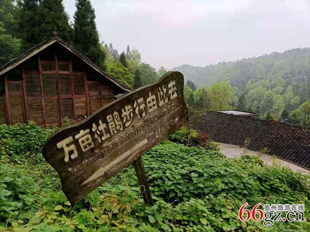 位于贵阳市乌当区新场镇可龙村水头寨的原始杜鹃花带,以高山白花杜鹃