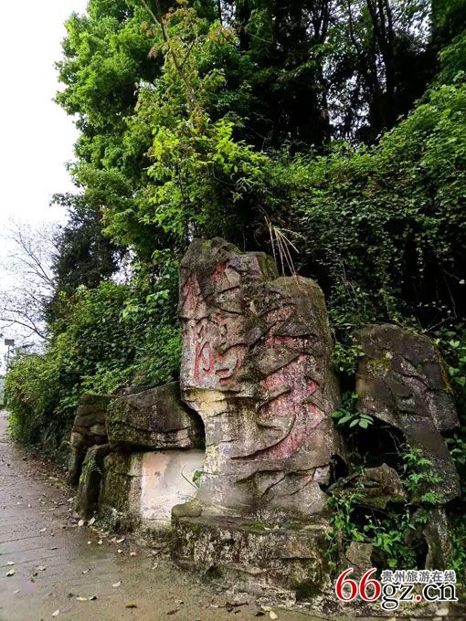 位于贵阳市乌当区新场镇可龙村水头寨的原始杜鹃花带,以高山白花杜鹃