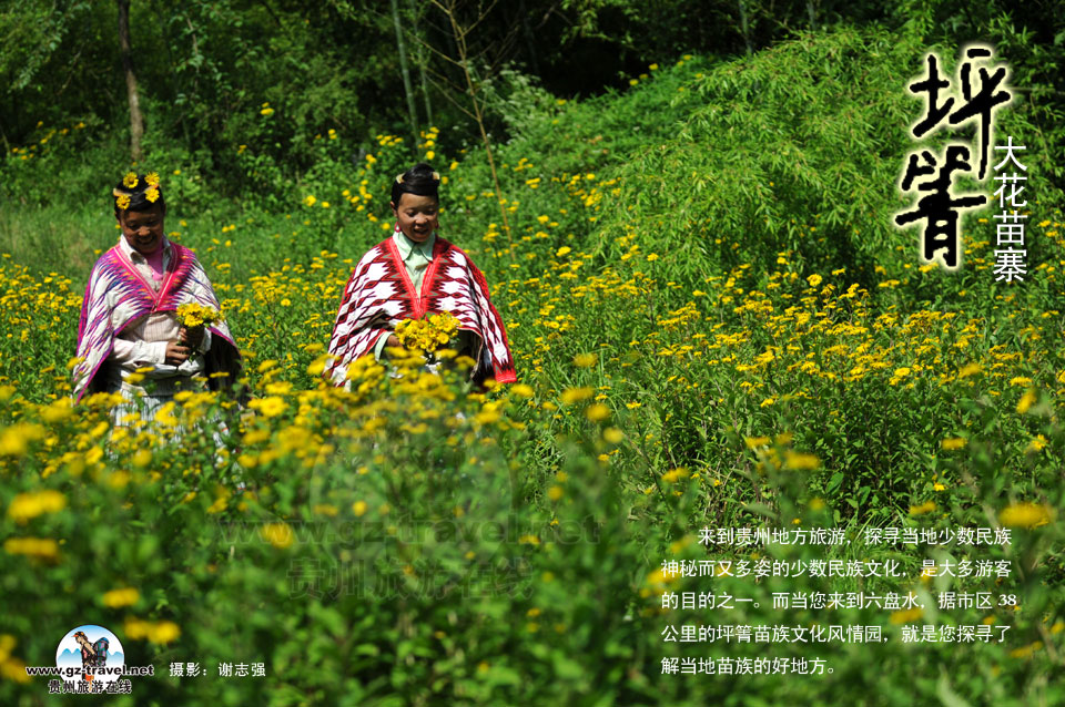 坪箐大花苗寨-贵州旅游在线